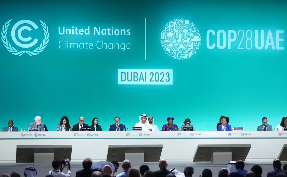 WhatsApp Image 2023-11-30 at 11.40.07