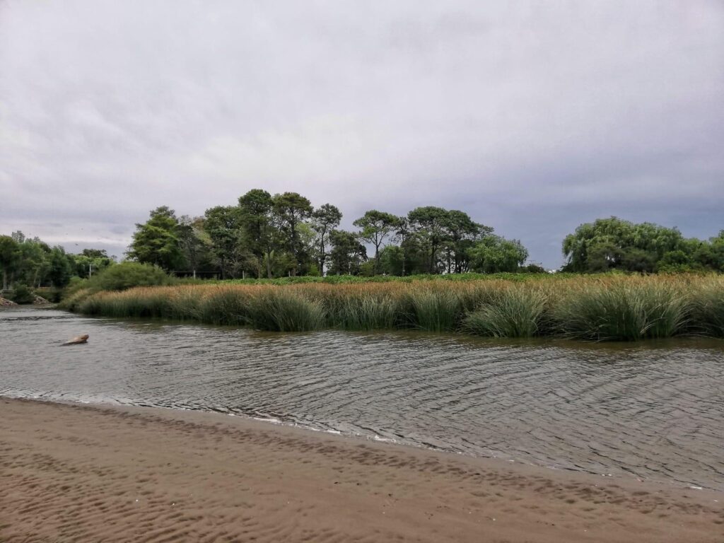 IMG-20220102-WA0002-1