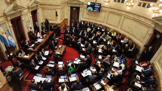 senado-la-nacionjpg