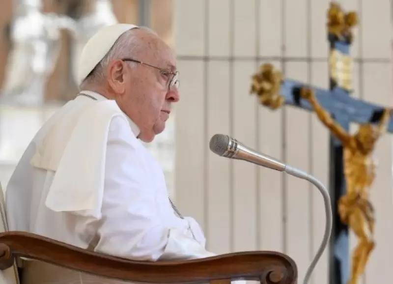 descarga - 2024-08-04T141836.065