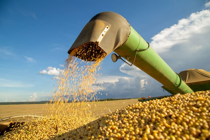 el-sector-agroexportador-ingreso