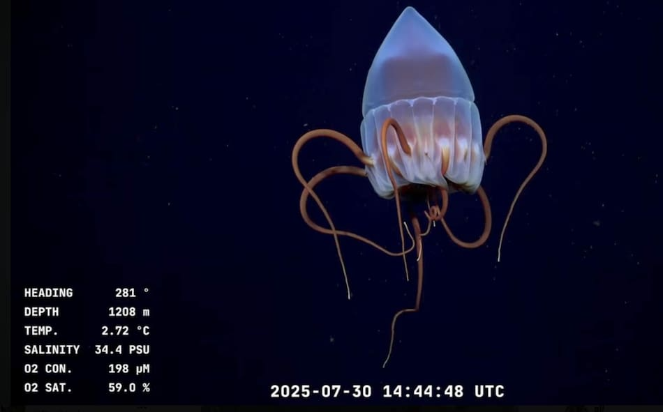 AE5PHFIGLBAEHMBTG36AYKHNKA.jfif