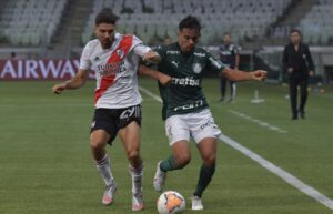 river-palmeiras