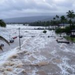 Sismo en Japón: alerta de tsunami y evacuaciones