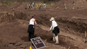 la-perla-excavaciones