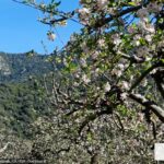 Fenómeno climático El Niño