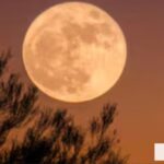 Luna de la Cosecha 2026: el espectáculo astronómico de septiembre se podrá ver el 26 en Argentina