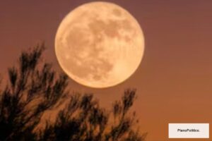 Luna llena brillante en el cielo nocturno sobre paisaje natural