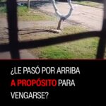 Atropellaron a un ciclista en Lomas de Zamora y el conductor se dio a la fuga: buscan al responsable