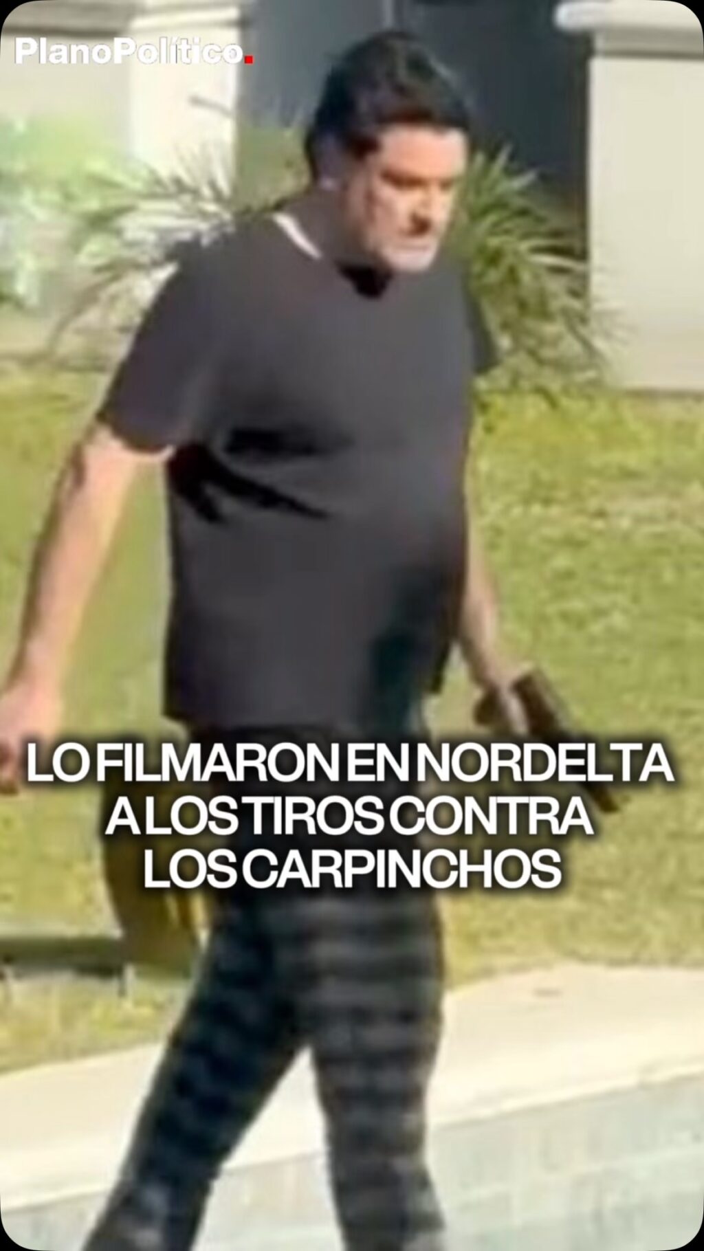 Carpinchos cerca de una vivienda en un barrio privado de Nordelta
