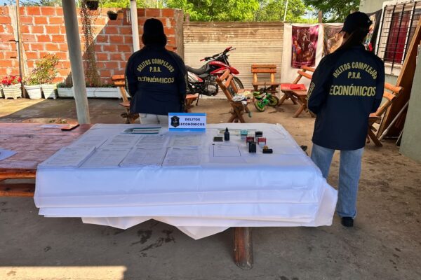 Formularios falsos de ANSES: imputaron a una mujer por venderlos en Facebook